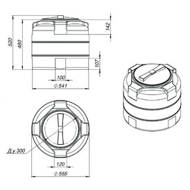 Фото-23842 Емкость T 100 литров синяя